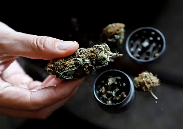 Cannabis terapeutica: Costa, presto bandi per le aziende