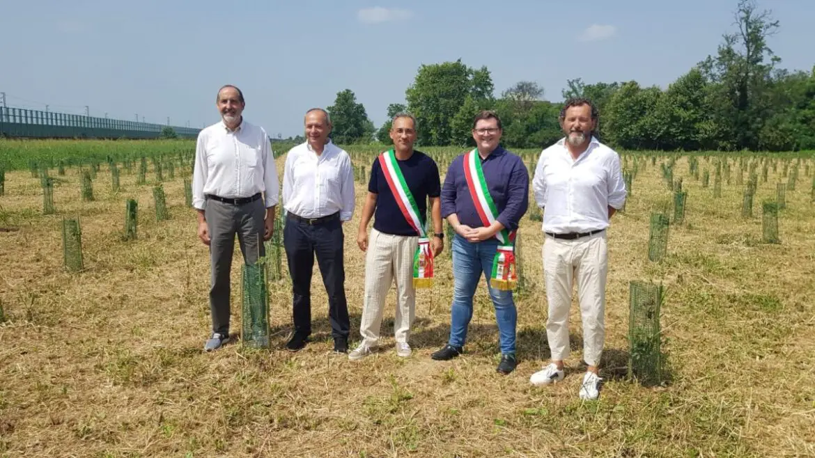 Arbolia, in Lombardia un nuovo bosco urbano da 3 mila piante