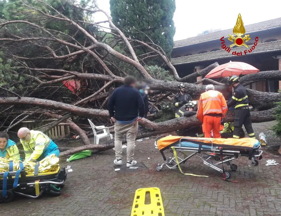 Montecatini Terme (PT) | Pino cade nel parco di un centro termale: 7 feriti