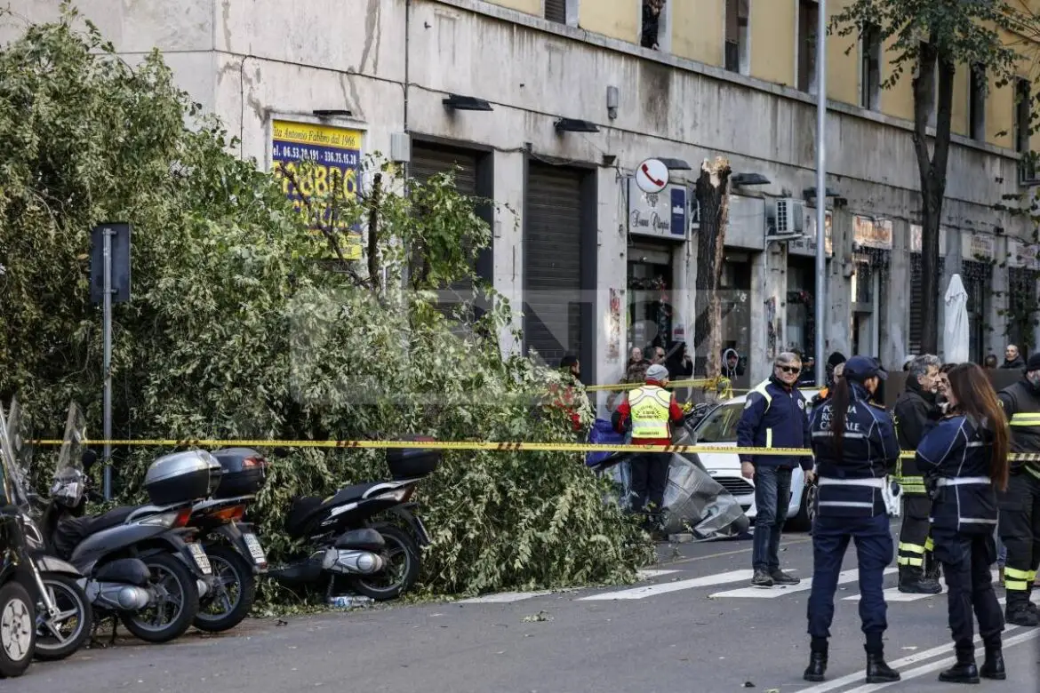 Roma | Cade un albero in zona Gianicolense: muore una 82enne.