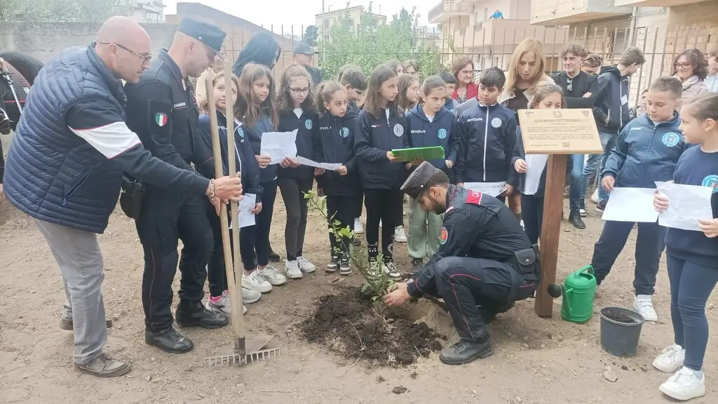 Catona (RC) | Celebrata la giornata nazionale degli alberi – VIDEO