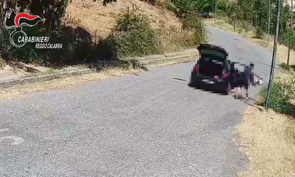 Reggio Calabria | Lanciavano rifiuti dal finestrino dell’auto, 4 denunce e multe per 7 mila euro
