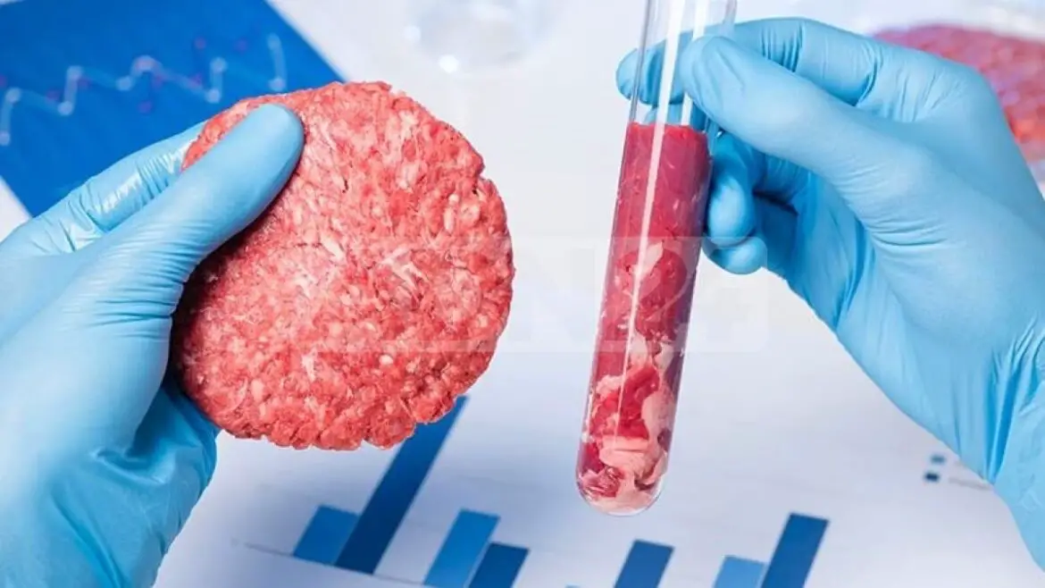 Carne coltivata | Mattarella firma ddl ma governo attende verifica Ue
